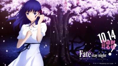 【FateHF剧场版/AMV】飘零的花瓣,终将逝去!